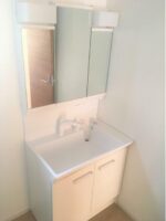 深谷市西大沼　新築未入居住宅 画像12